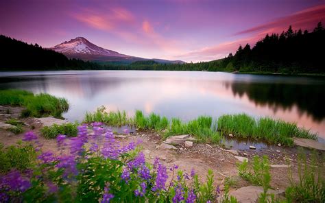 Beautiful Nature Scenery Wallpaper (56+ images)