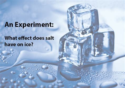 Experiment: What effect does salt have on ice? - Studyladder Interactive Learning Games