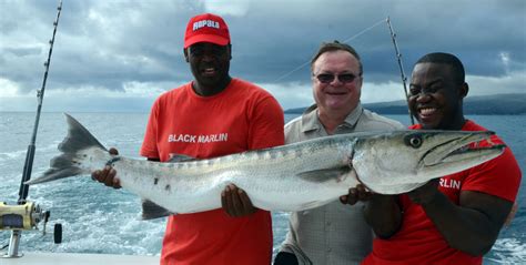 Barracuda - Rod Fishing club