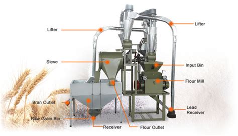 How does a flour mill process line produce flour?