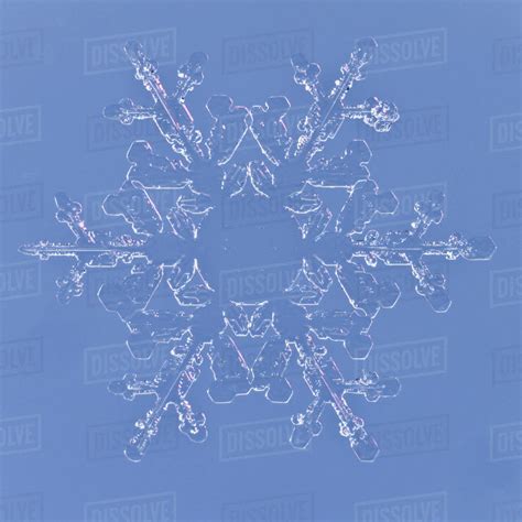 Snowflake magnified under microscope, Lilehammer, Norway - Stock Photo - Dissolve