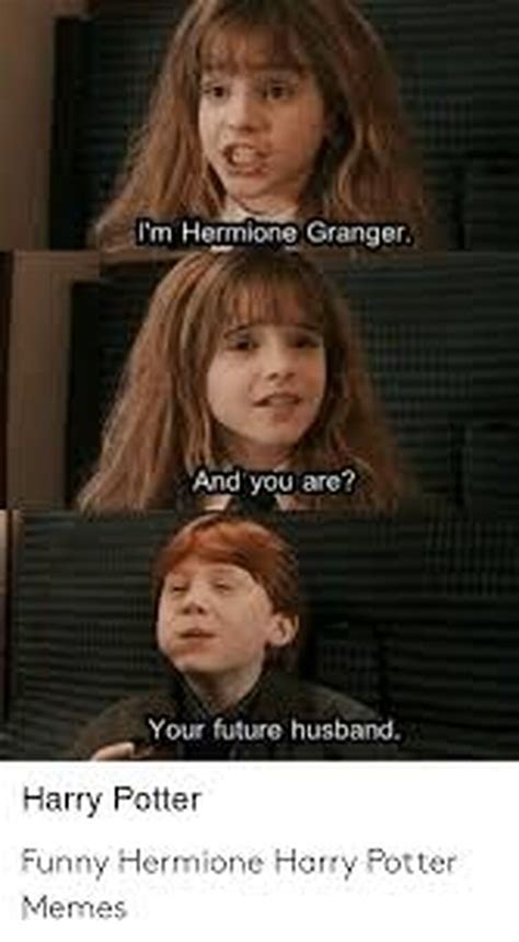 Harry Potter Meme Hermione