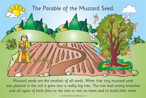 Mustard Seed Parable For Kids