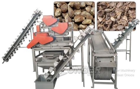 Commercial Palm Kernel Nut Cracking and Separating Machine for Sale