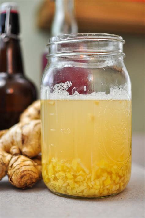 How to Make a Ginger Bug for Homemade Soda - The Fermentation Adventure