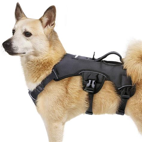 Top 10 Large Dog Lifting Harnesses for Easy and Safe Lifting! - Furry Folly