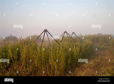 The LOFAR radio telescope Stock Photo - Alamy