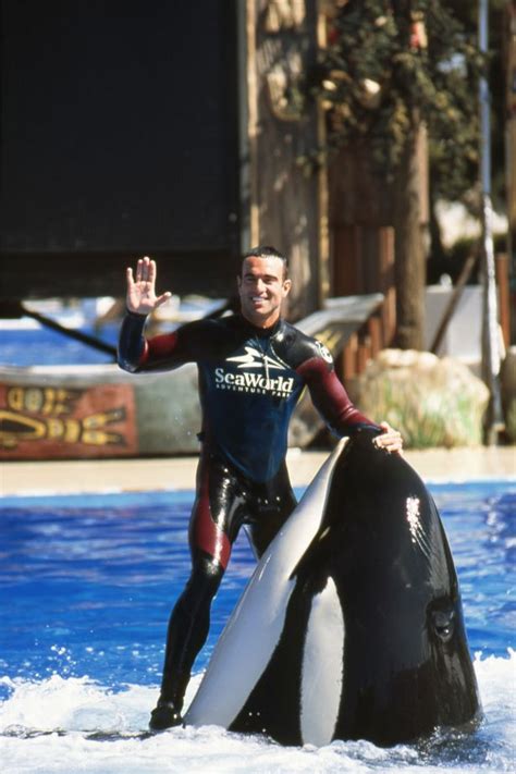 US SeaWorld animals live in 'desperation that could lead to deadly attacks' - Hot Lifestyle News