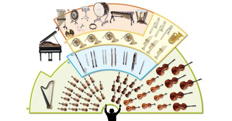 Instruments Of The Orchestra | Orchestra Facts | DK Find Out