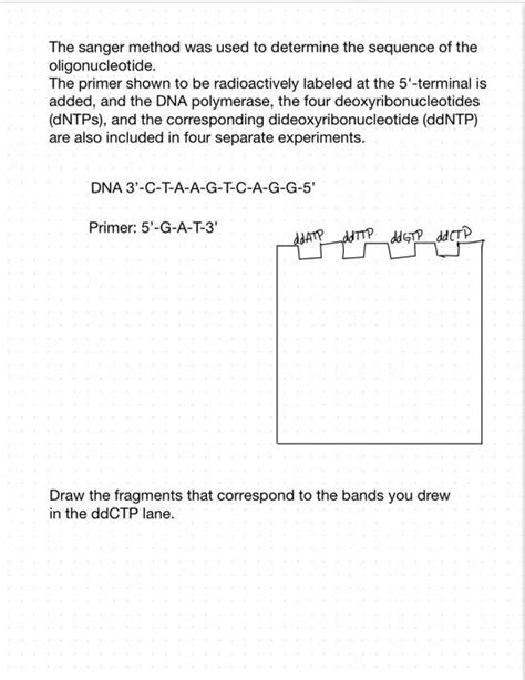 Solved The sanger method was used to determine the sequence | Chegg.com