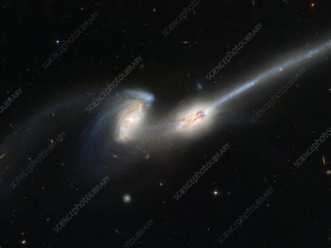 Mice colliding galaxies - Stock Image - R826/0085 - Science Photo Library