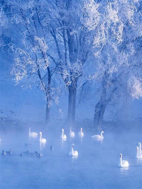 Winter Solstice – Bing Wallpaper Download