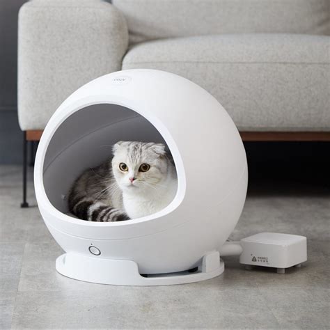 9 Best Heated Cat Beds | The Family Handyman