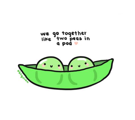 Pea Pod Drawing | Free download on ClipArtMag