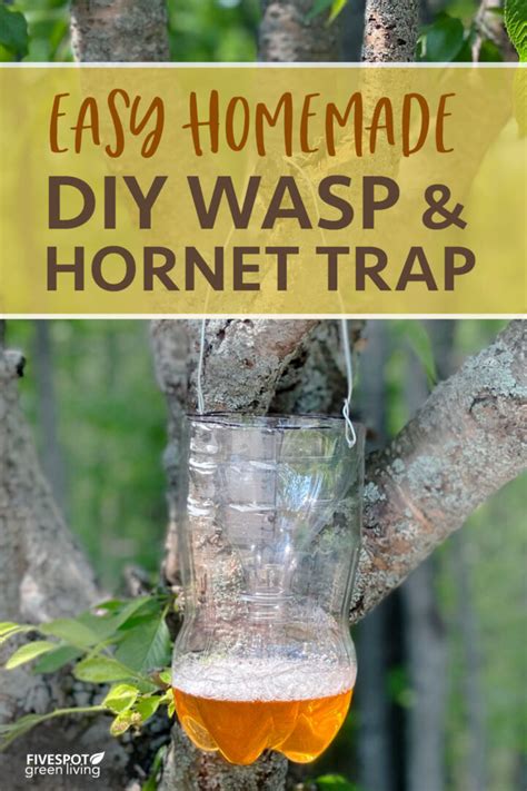 Easy DIY Wasp Trap - Five Spot Green Living