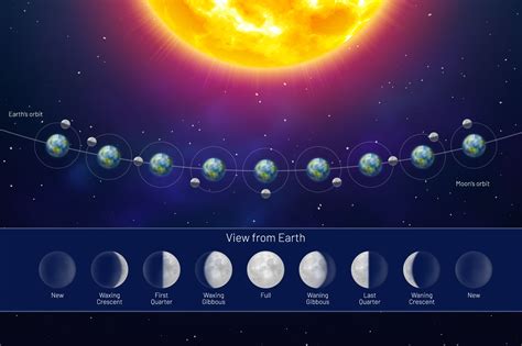 What Causes Moon Phases All 8 Moon Phases Explained | Images and Photos finder