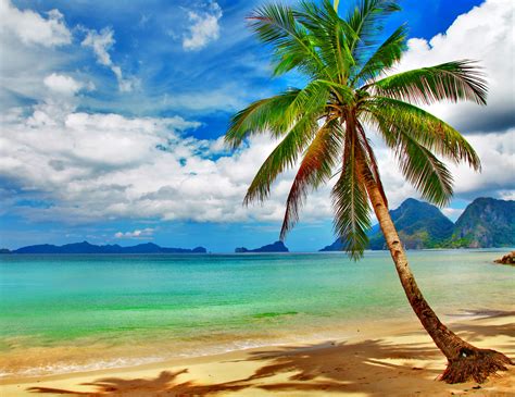 Tropical Beach Desktop Wallpaper - WallpaperSafari