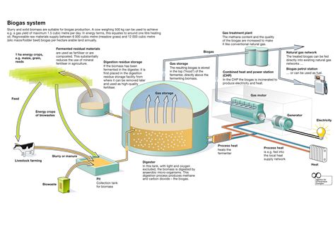 General information | PlanET Biogas UK Limited