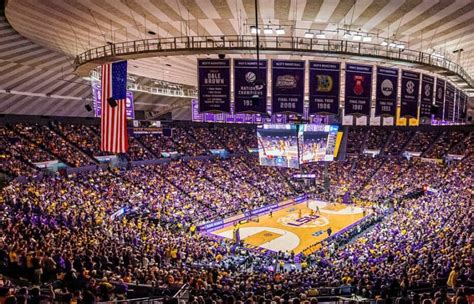 LSU Tigers Basketball Tickets - StubHub