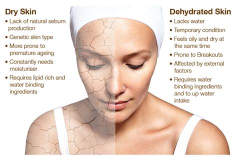 Dry Skin or Dehydrated Skin? What’s the Difference? – HALEA