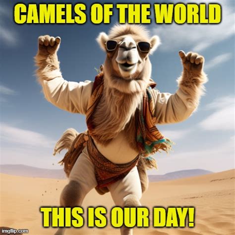 Camels of the world, this is our day - Imgflip