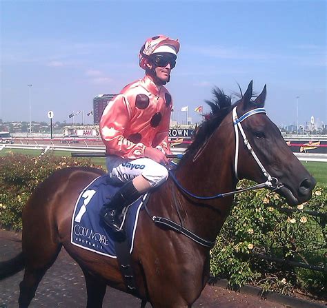 Champion Australian racehorse ,"Black Caviar" | Thoroughbred racehorse, Black caviar, Racehorse