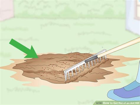 4 Easy Ways to Get Rid of an Ant Hill - wikiHow