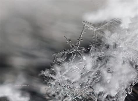 3 Simple Tips For Snowflake Macro Photography