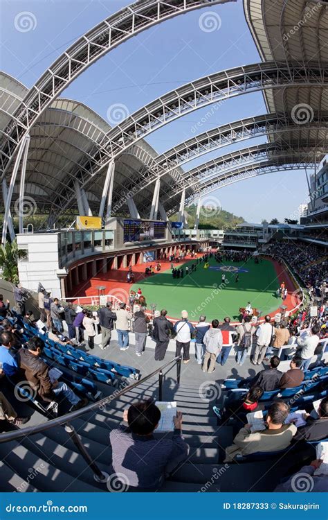 Sha Tin Racecourse, Hong Kong Editorial Stock Photo - Image of animal ...