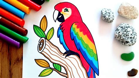 Macaw Parrot Drawing