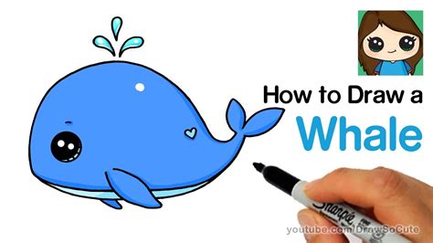 Cute Baby Whale Drawings