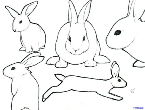 Free Rabbit Cartoon Outline, Download Free Rabbit Cartoon Outline png images, Free ClipArts on ...