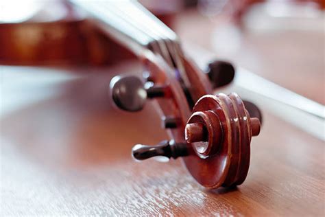 500+ Tuning A Violin Stock Photos, Pictures & Royalty-Free Images - iStock