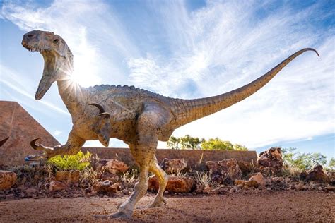 8 best dinosaur museums and fossil sites in Australia