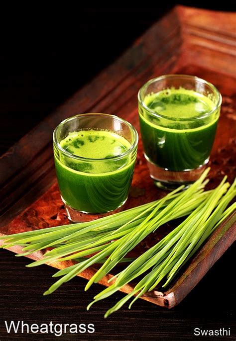 Fresh Wheatgrass Juice Recipe | Besto Blog