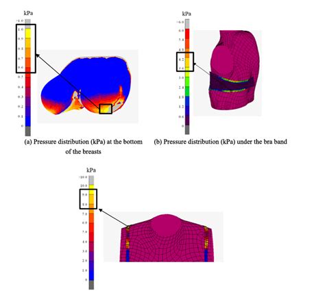 3D bra and human interactive modelling using finite element method for ...