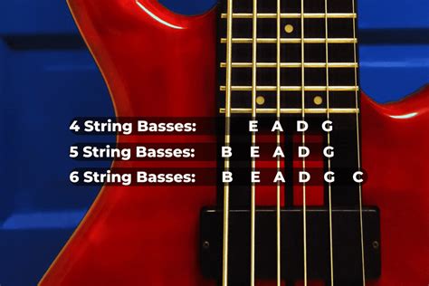 How to Tune a Bass Guitar? 3 Easy Step by Step Methods