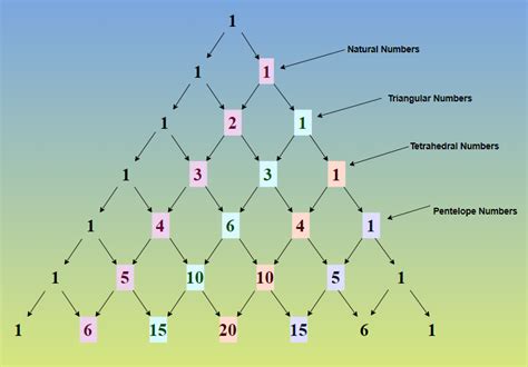 Pascal's Triangle | Definition, Formula, Patterns, and Examples