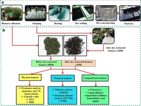 Schematic of (a) indigo dye production process and (b) biomass... | Download Scientific Diagram