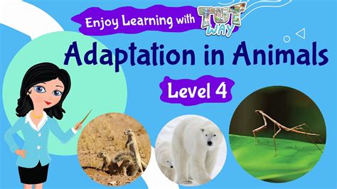 Adaptation Pictures Of Animals