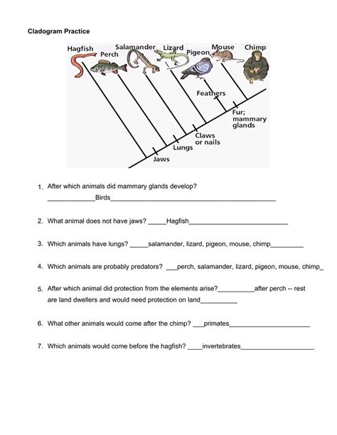 Cladogram Practice — db-excel.com