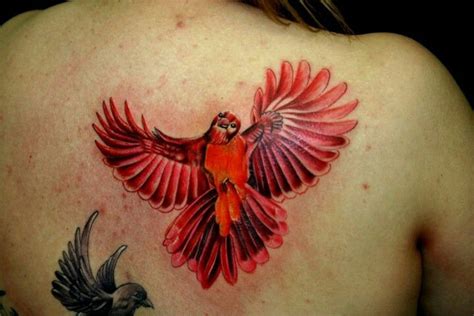 Pin by Kat Hetz Hammers on Tattoos | Red bird tattoos, Tattoos, Ink tattoo