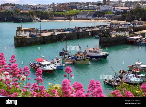 Fishing boats in Newquay harbour, Cornwall UK Stock Photo - Alamy