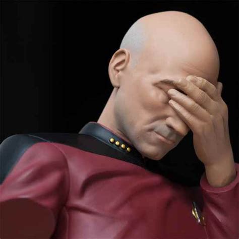 Captain Picard Facepalm Bust – AWESOMAGE!