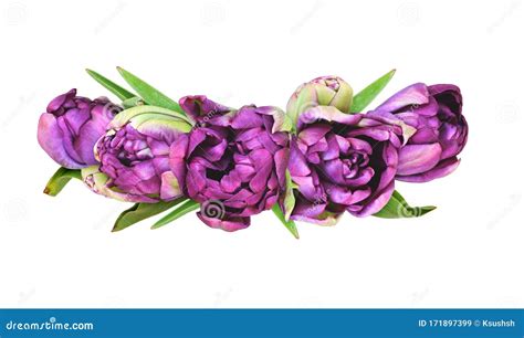 Purple Peony Tulip Flowers in a Floral Arrangement Stock Image - Image of wave, tulip: 171897399