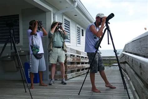 WHERE TO WATCH HAWK MIGRATION IN FLORIDA | Top 3 Breathtaking Hawk ...