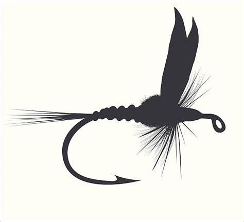 2,600+ Fly Fishing Stock Illustrations, Royalty-Free Vector Graphics ...