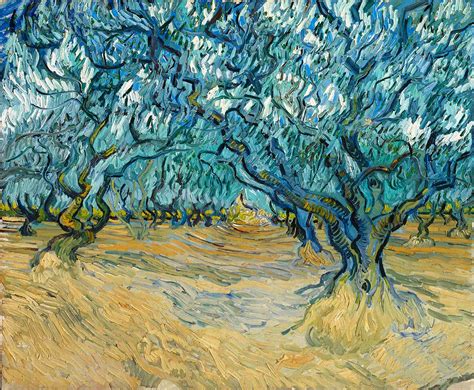 Olive Trees by Vincent van Gogh | Kalligone