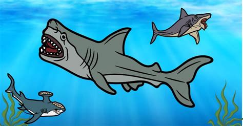 The Megalodon and Other Prehistoric Sharks That Ruled the Ancient Seas