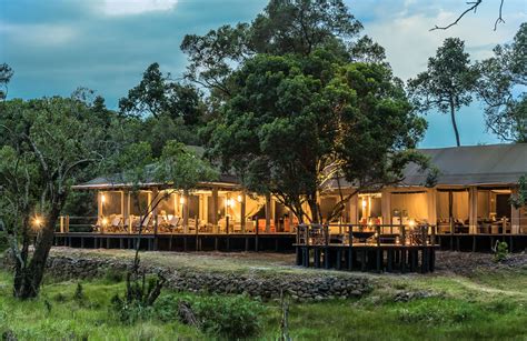 Mara Serena Safari Lodge, Masai Mara National Reserve, Kenya - 2019 / 2020